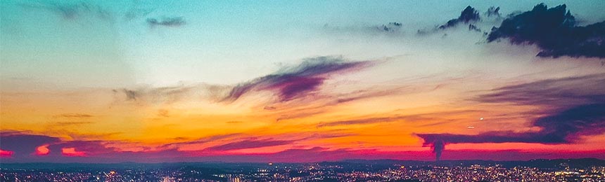 莘县茶虫网_莘县品茶